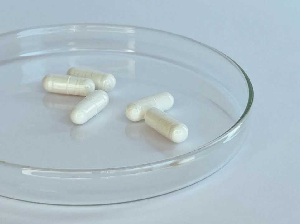 L Cell resveratrol kapsle